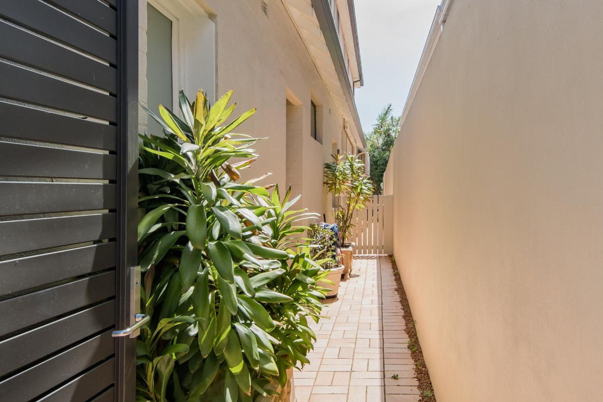 Holidayrento The Palm House Bondi 悉尼 外观 照片