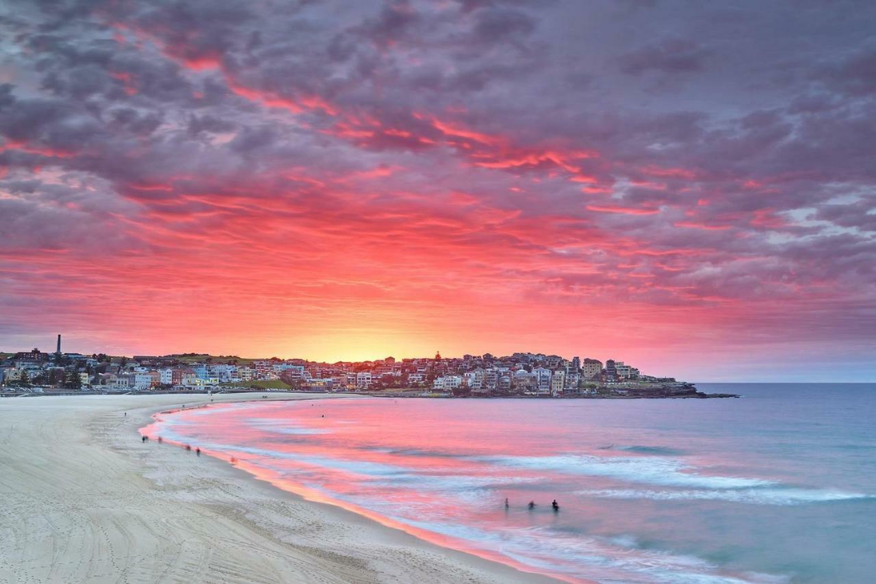 Holidayrento The Palm House Bondi 悉尼 外观 照片